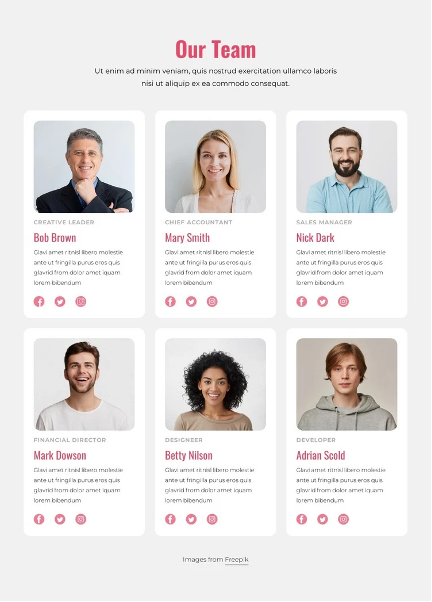 Team Overview One-Pager